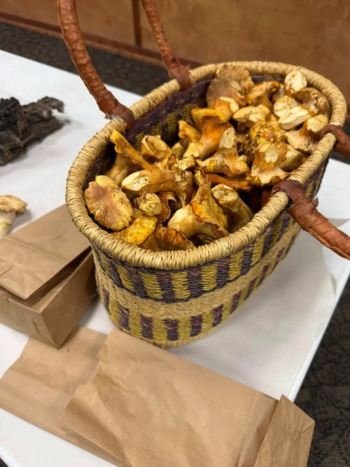 Basket of Chanterelle mushrooms brought into a NIMA meeting.