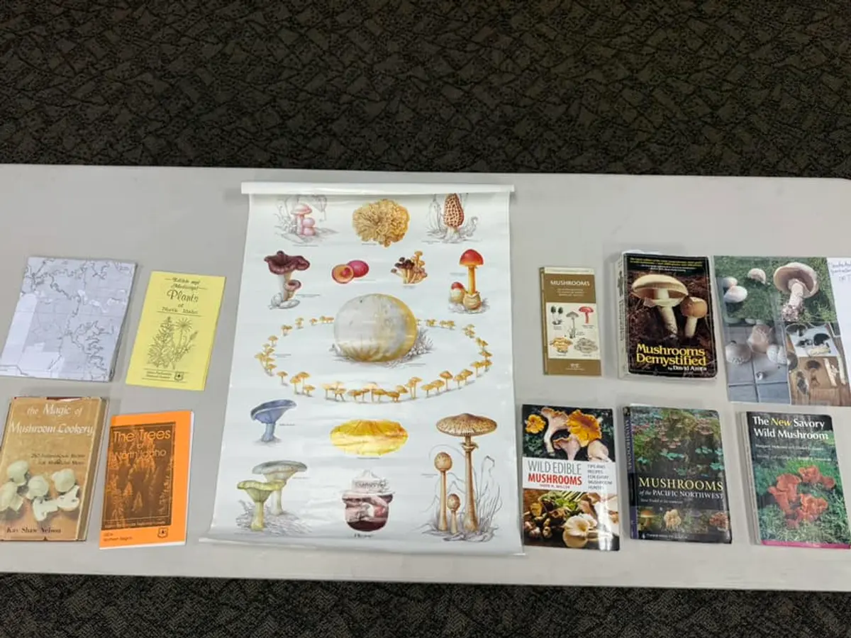 Educational resources